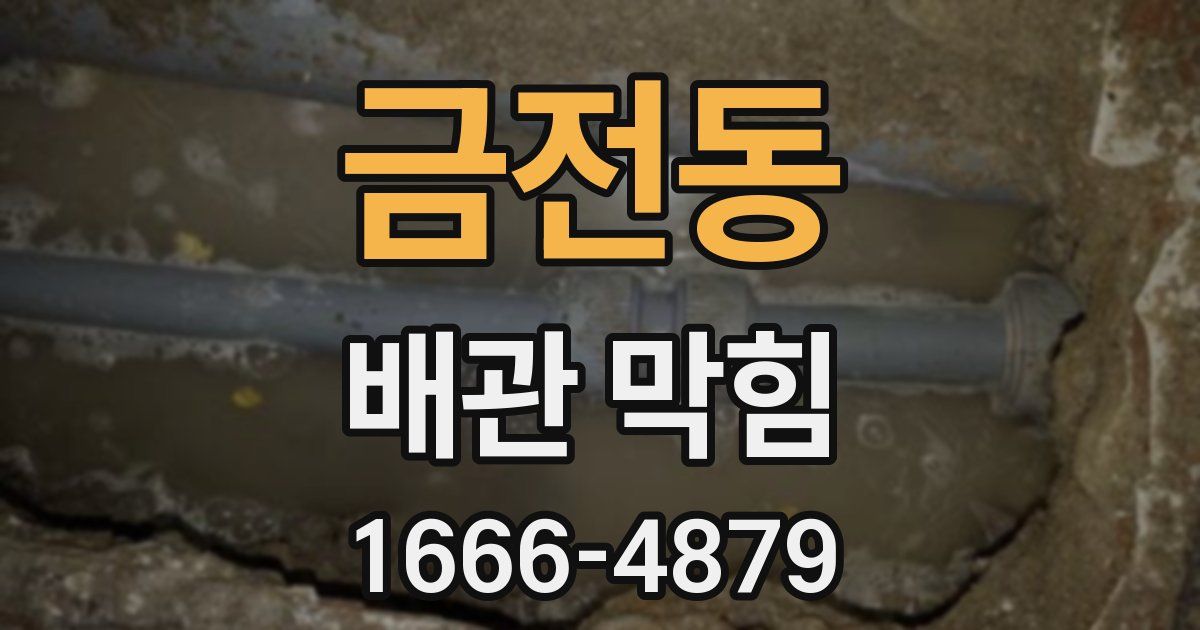 금전동 배관 막힘