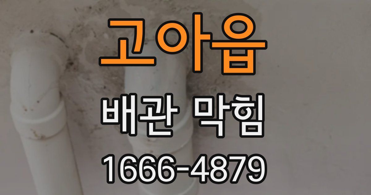 고아읍 배관 막힘