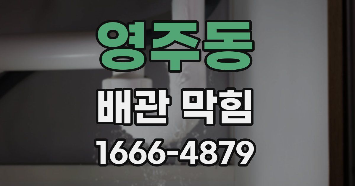 영주동 배관 막힘