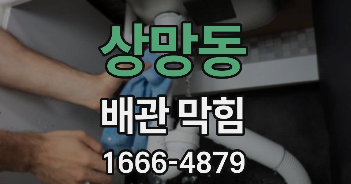 상망동 배관 막힘