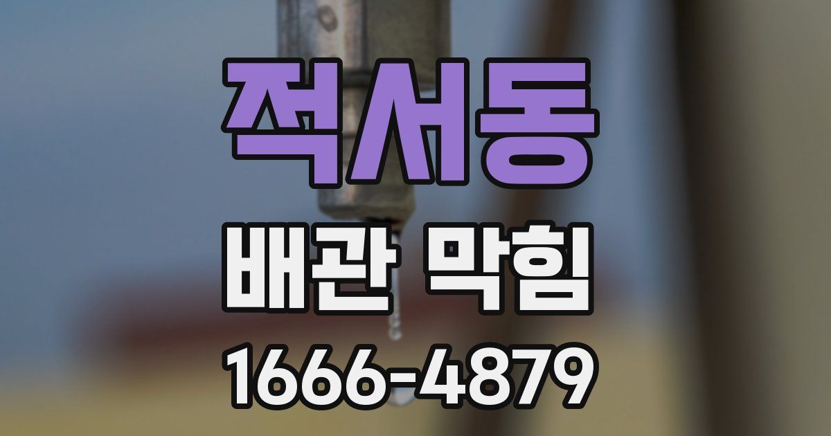 적서동 배관 막힘