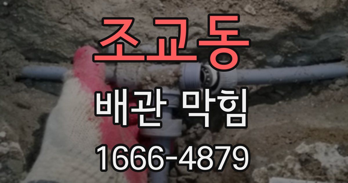 조교동 배관 막힘