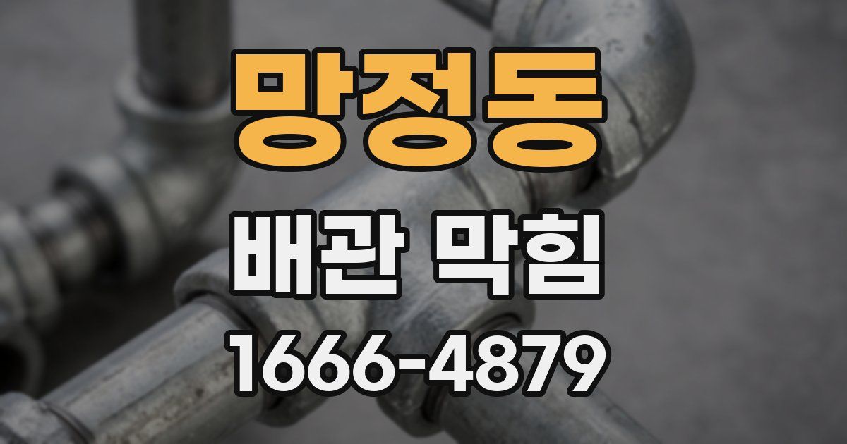 망정동 배관 막힘