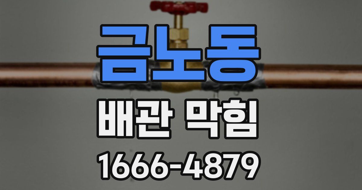 금노동 배관 막힘