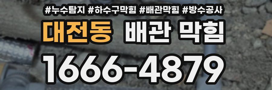 대전동 배관 막힘