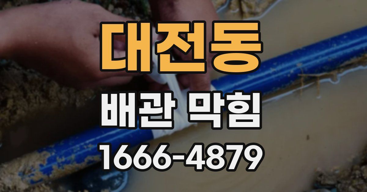 대전동 배관 막힘