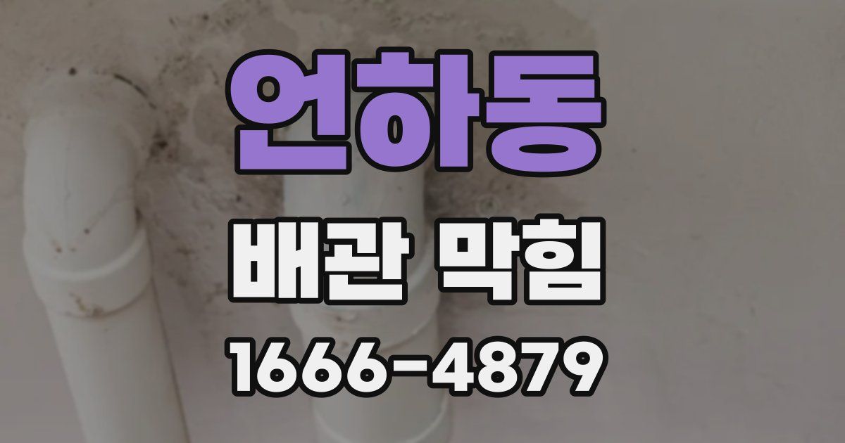 언하동 배관 막힘