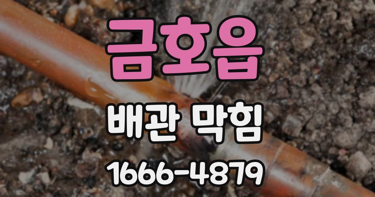 금호읍 배관 막힘