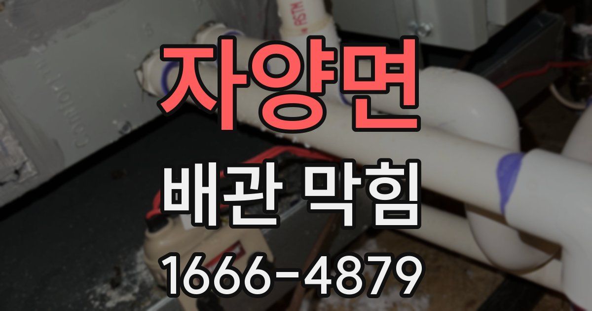 자양면 배관 막힘