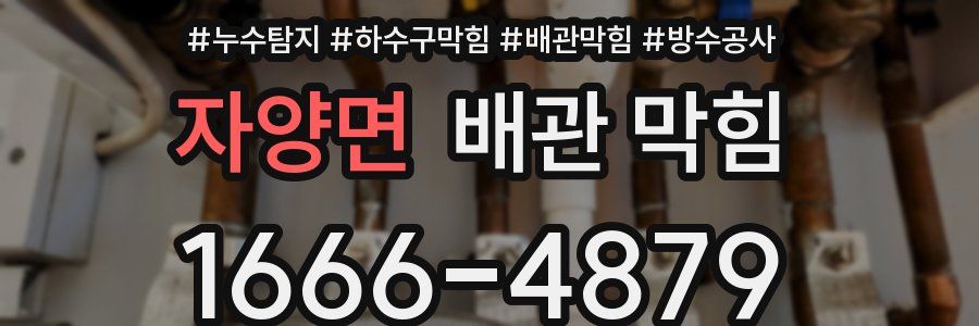 자양면 배관 막힘
