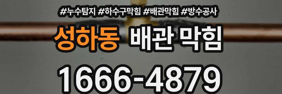 성하동 배관 막힘