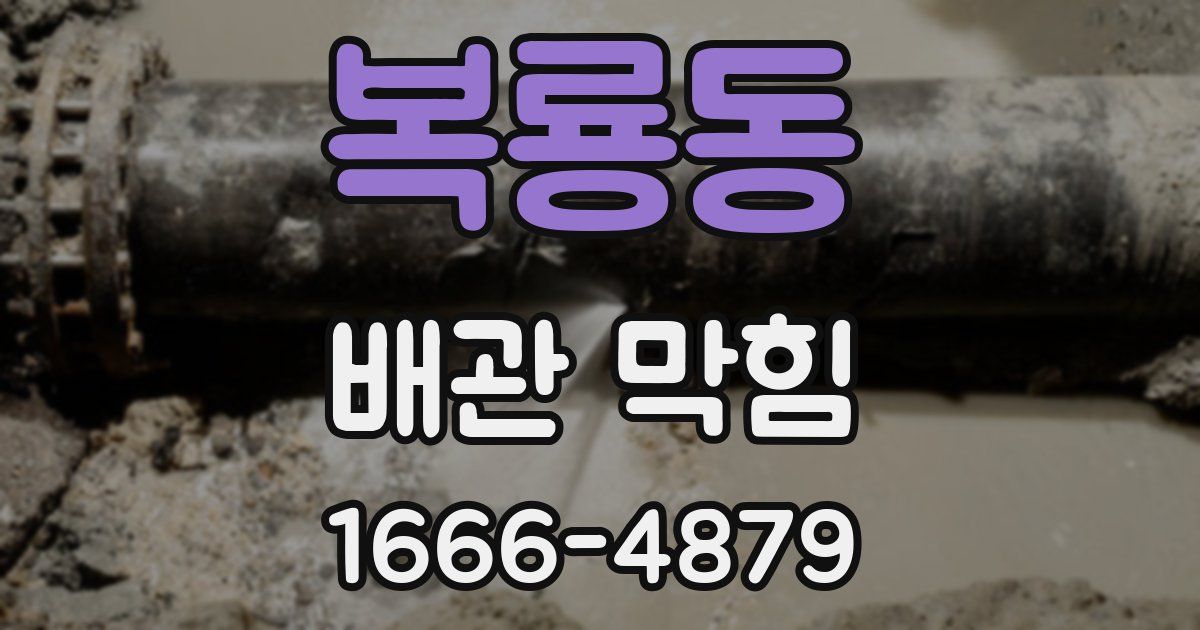 복룡동 배관 막힘