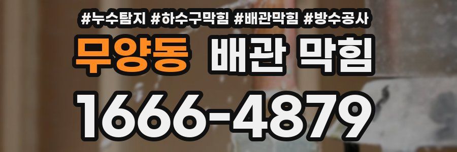 무양동 배관 막힘
