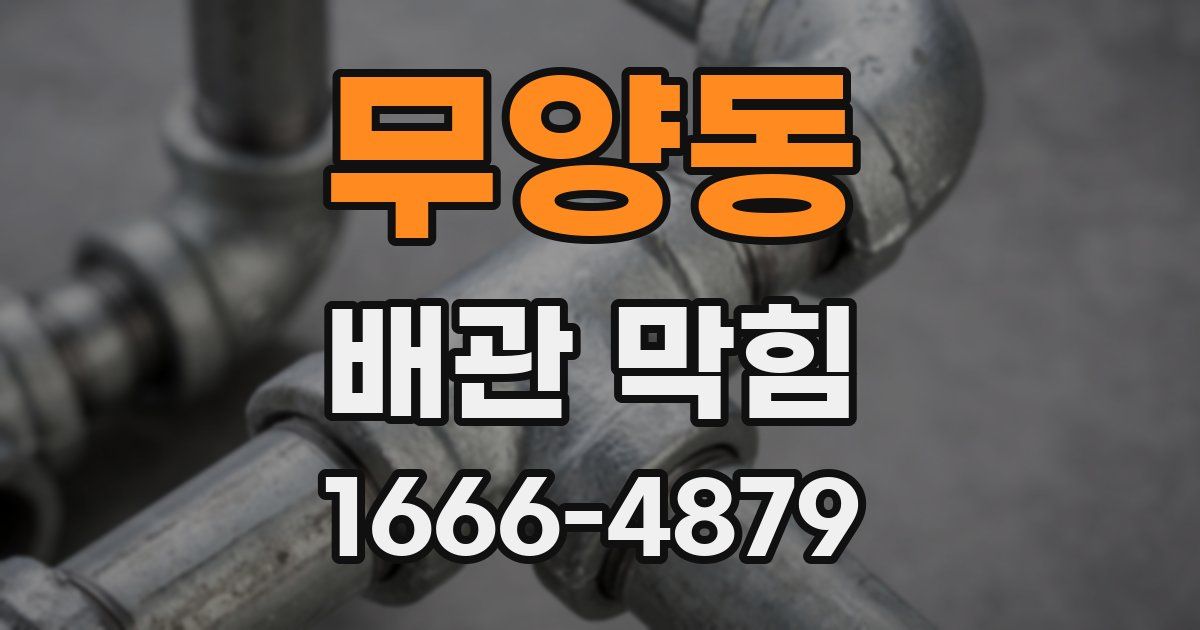 무양동 배관 막힘