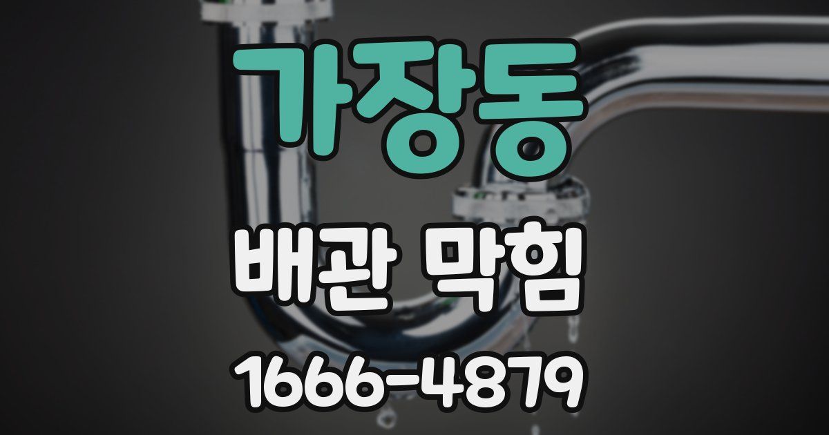 가장동 배관 막힘