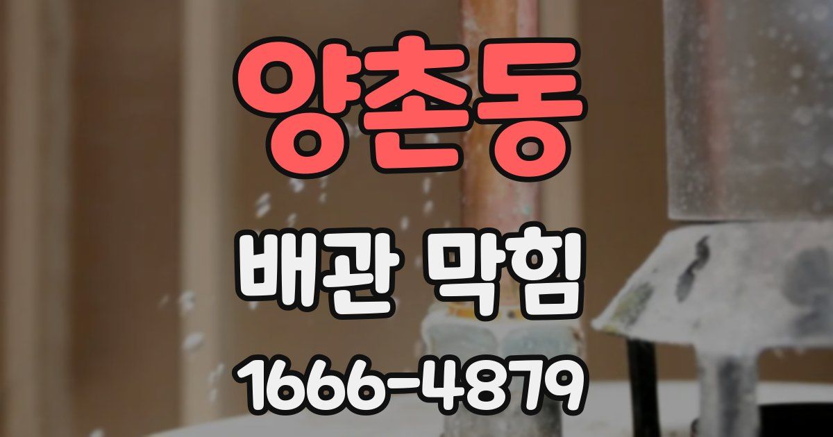 양촌동 배관 막힘