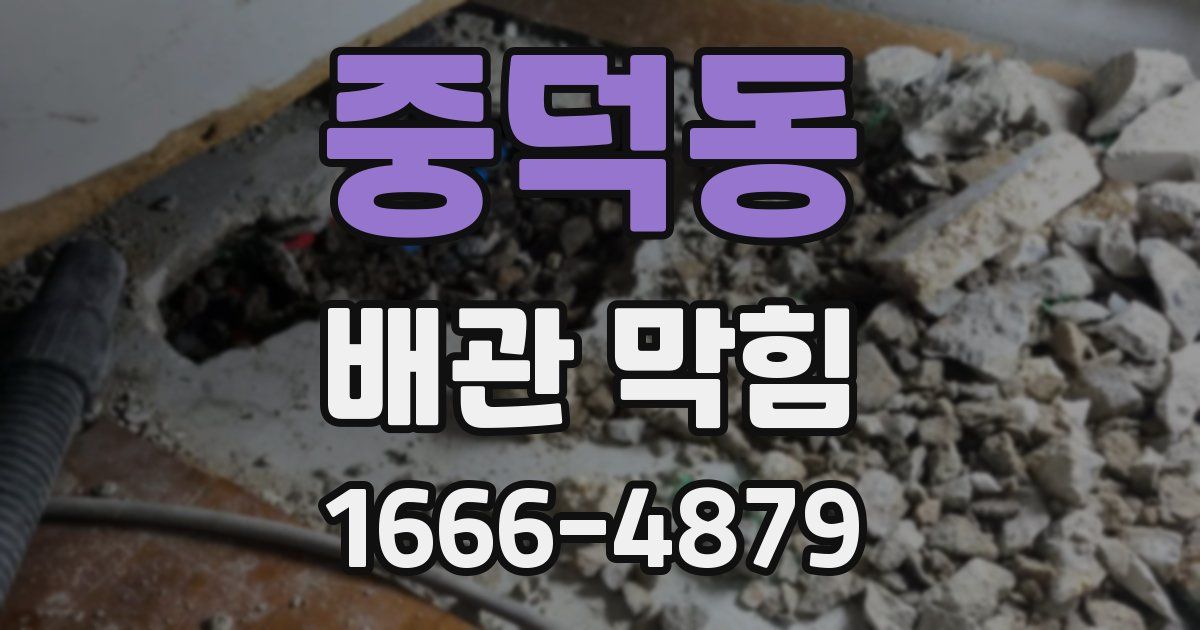 중덕동 배관 막힘