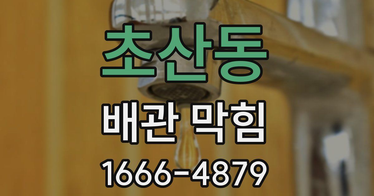 초산동 배관 막힘