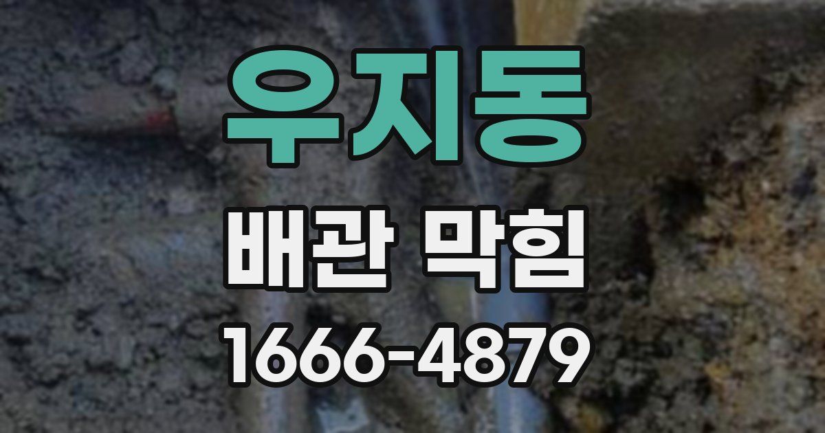 우지동 배관 막힘