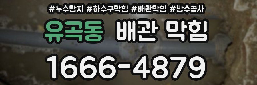유곡동 배관 막힘