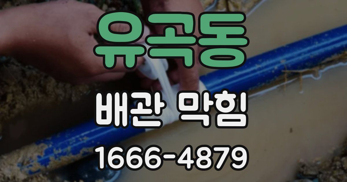 유곡동 배관 막힘