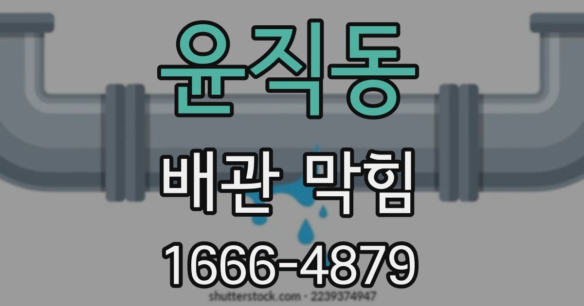 윤직동 배관 막힘