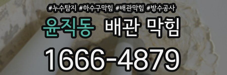 윤직동 배관 막힘