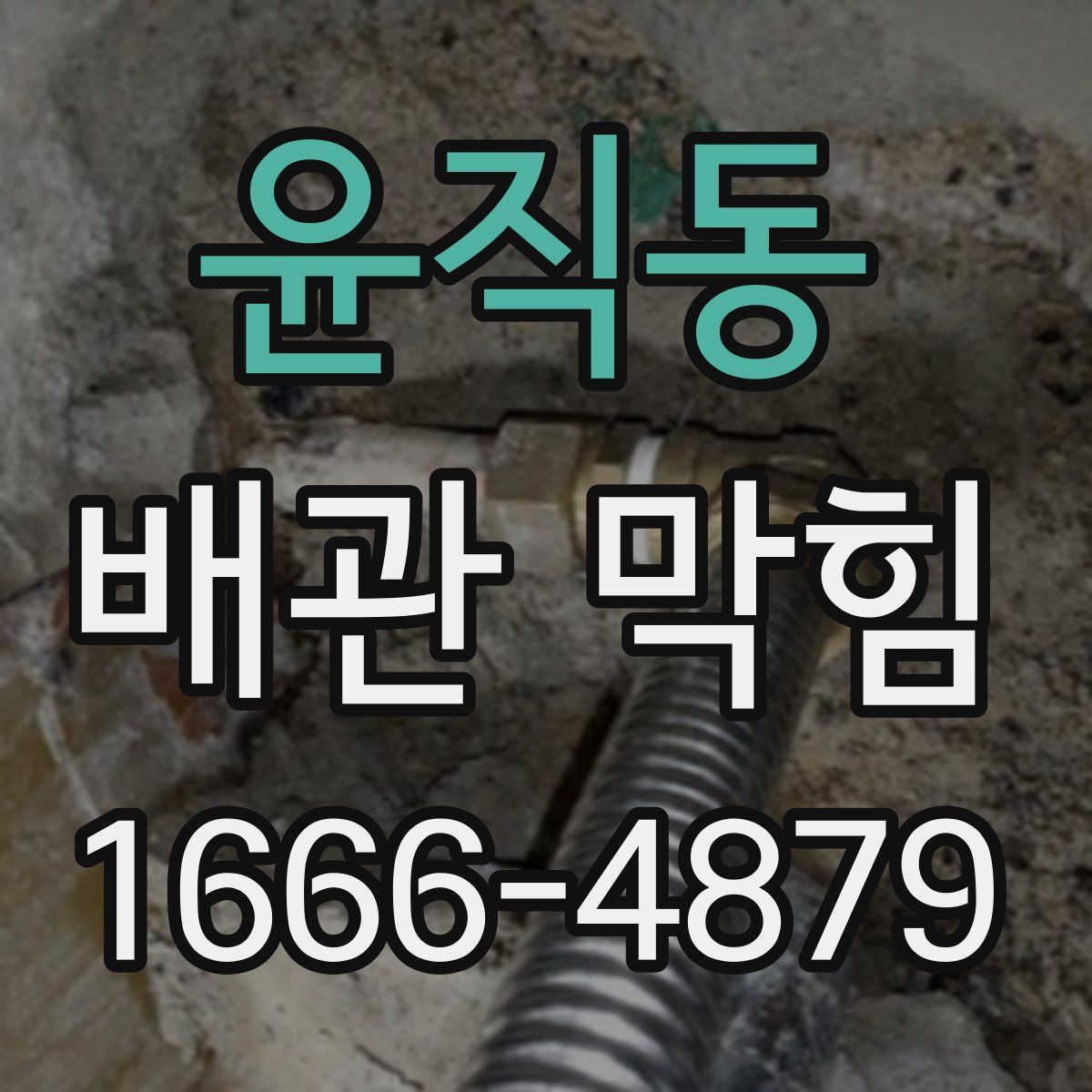 윤직동 배관 막힘
