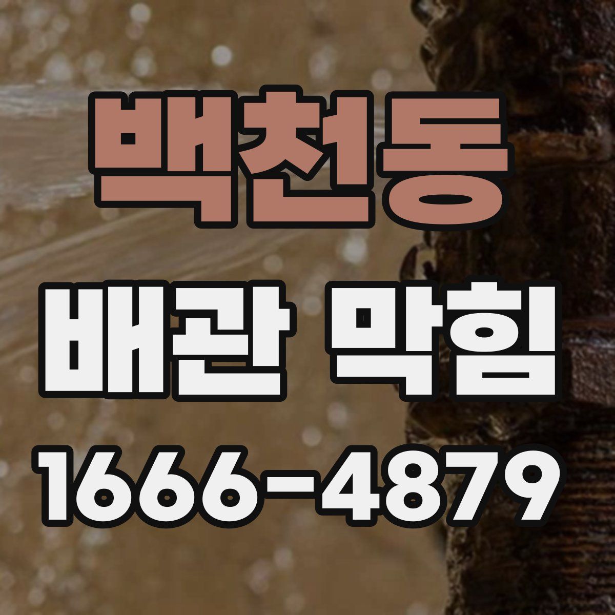 백천동 배관 막힘