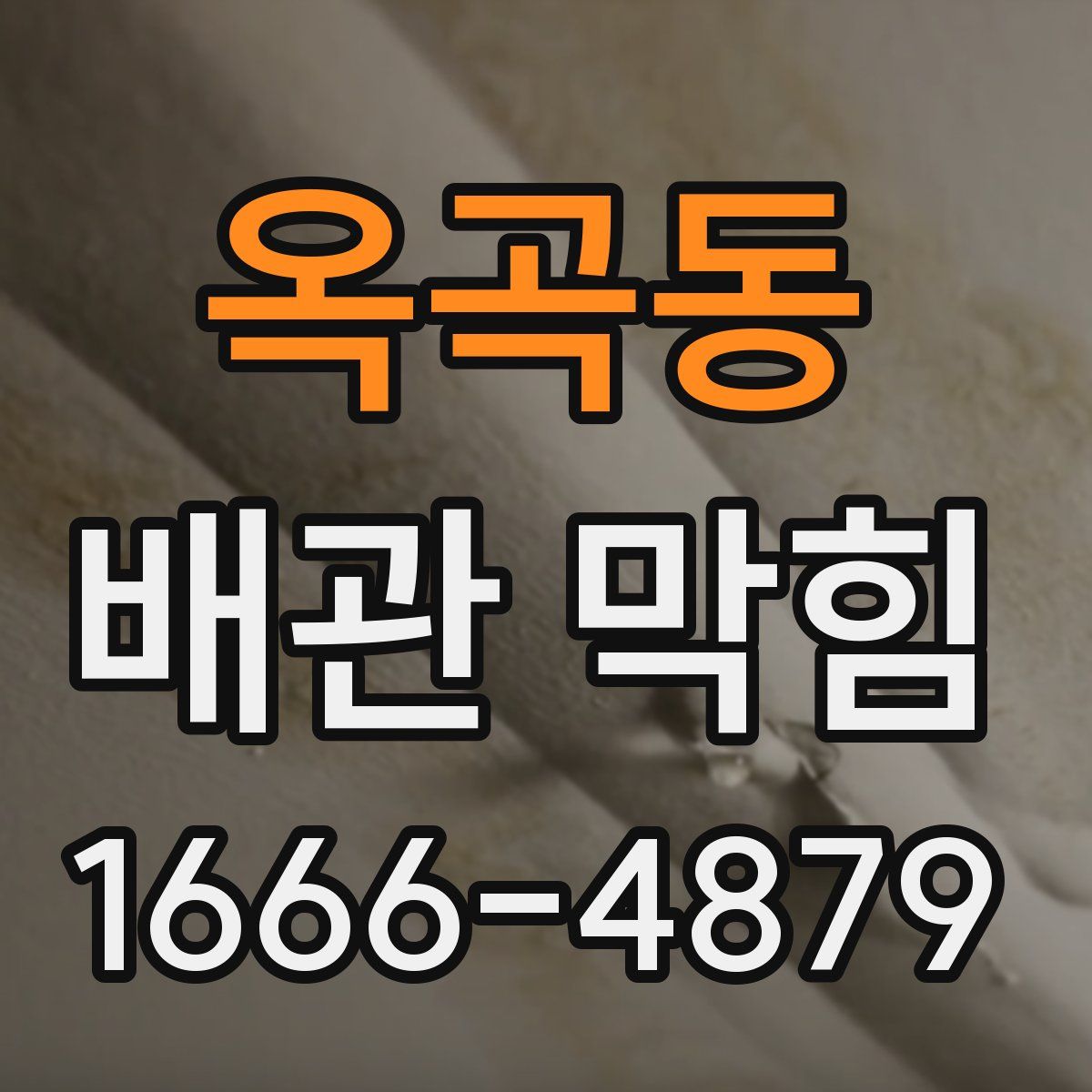 옥곡동 배관 막힘