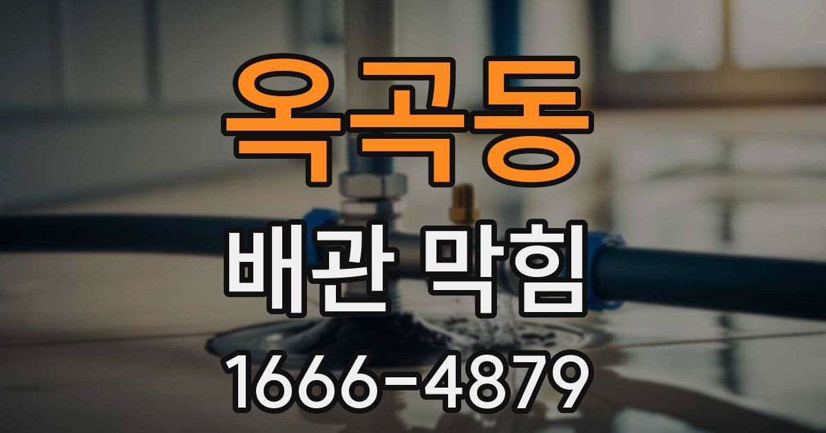 옥곡동 배관 막힘