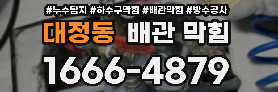 대정동 배관 막힘