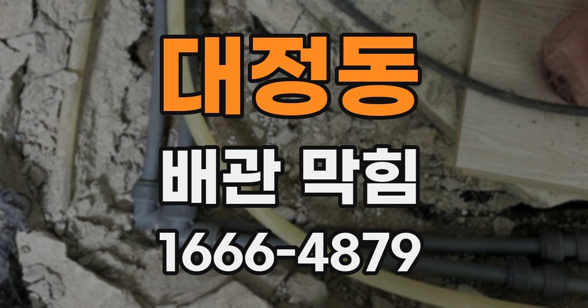 대정동 배관 막힘