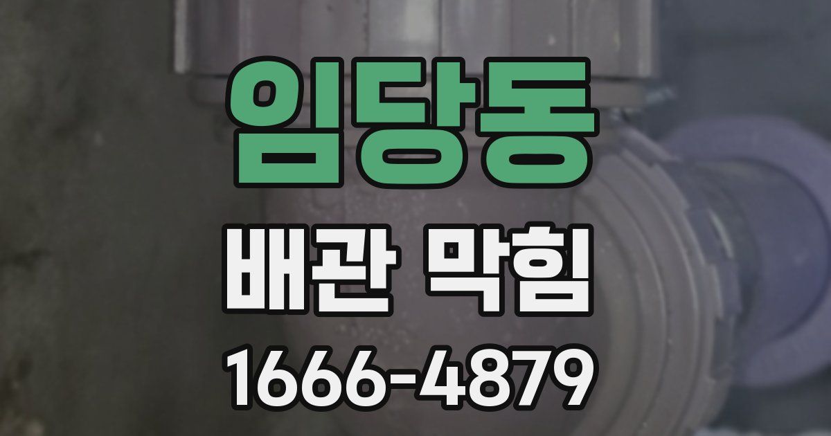 임당동 배관 막힘