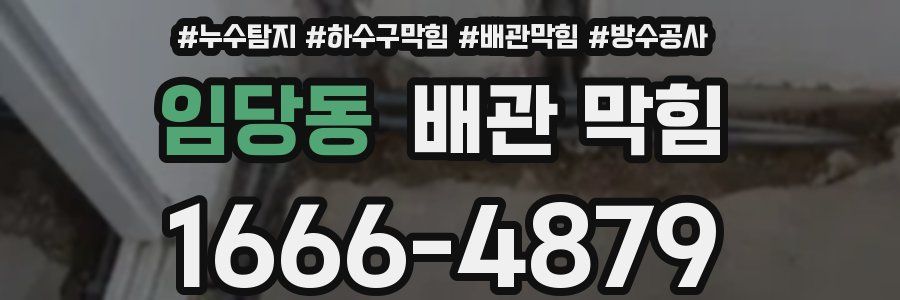 임당동 배관 막힘