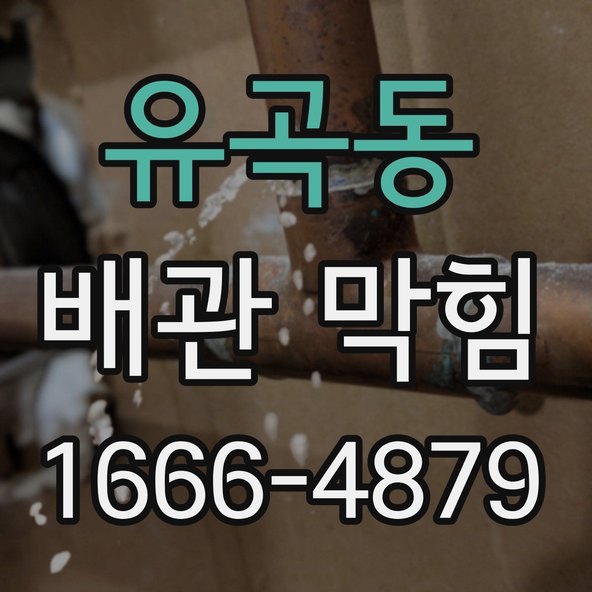 유곡동 배관 막힘 배수 속도가 느려질 때 대처