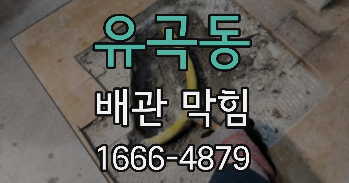 유곡동 배관 막힘