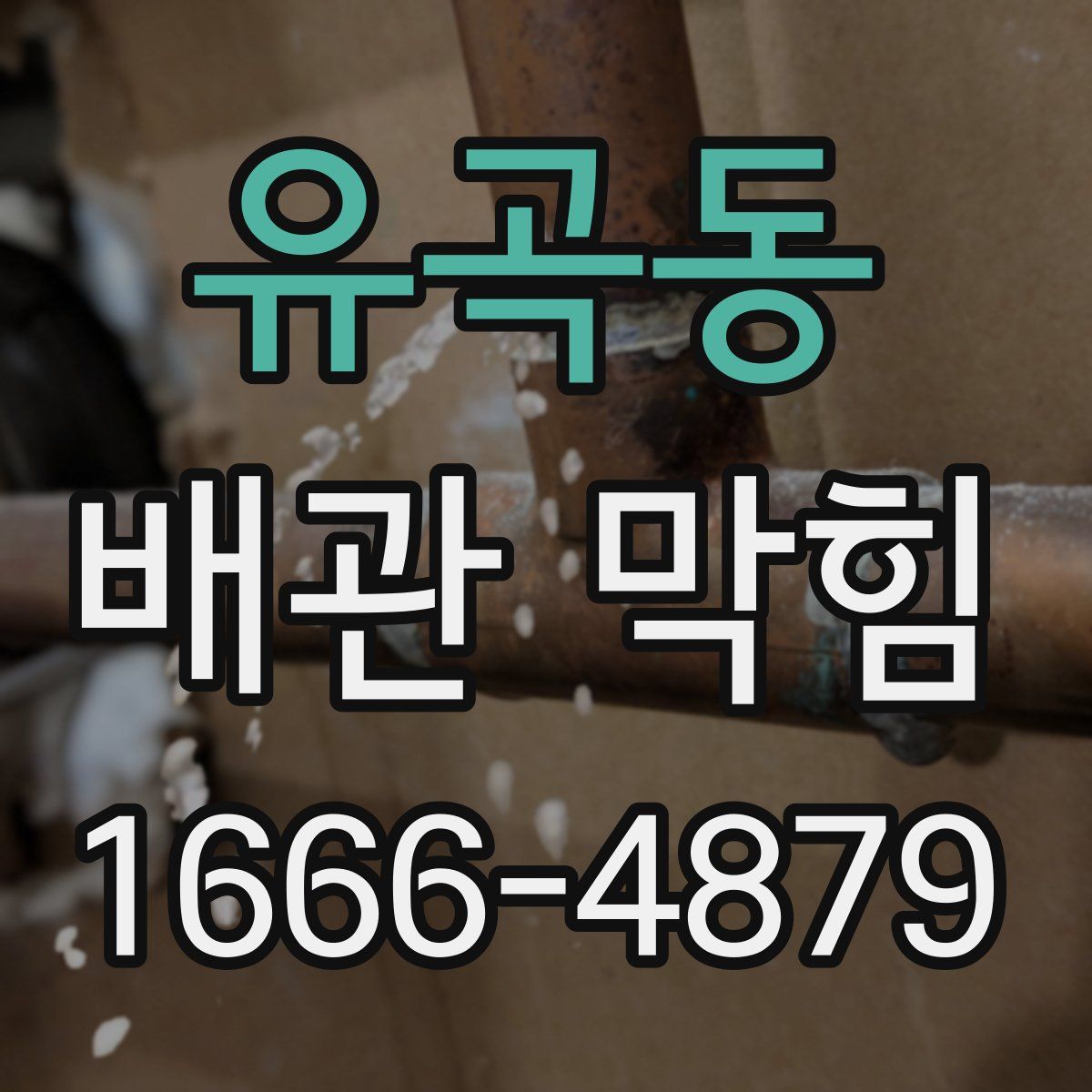 유곡동 배관 막힘