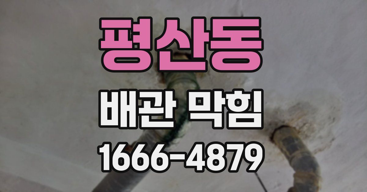 평산동 배관 막힘