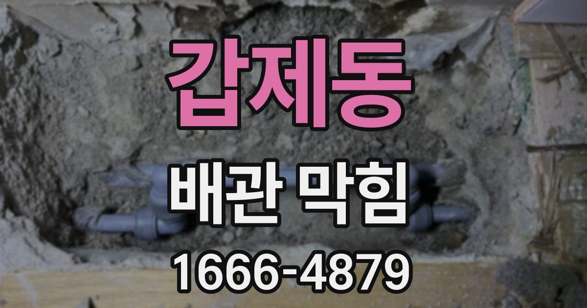 갑제동 배관 막힘