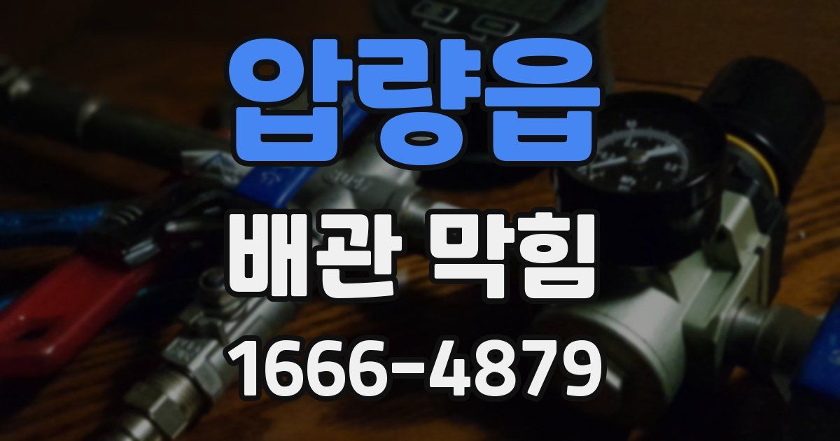 압량읍 배관 막힘