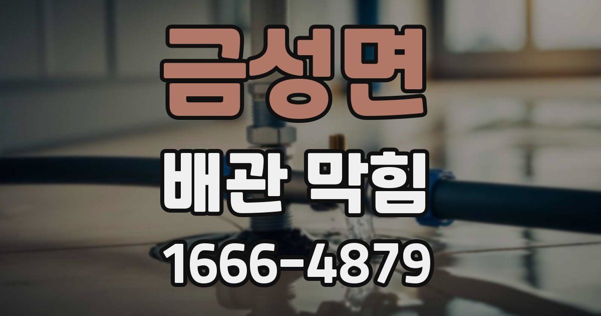 금성면 배관 막힘
