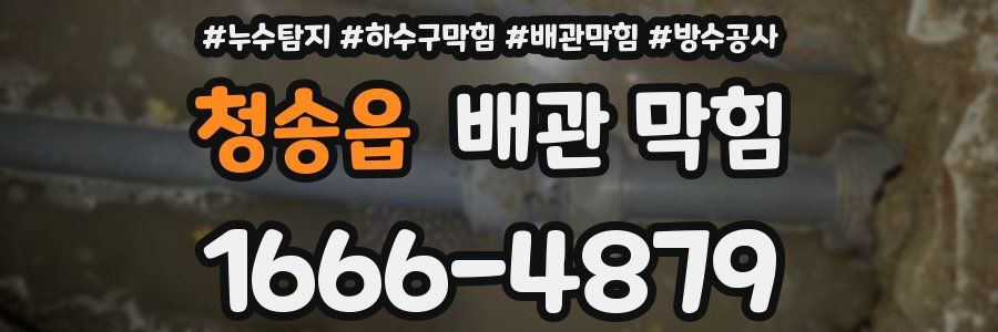 청송읍 배관 막힘