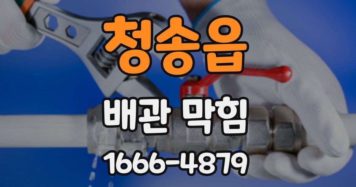 청송읍 배관 막힘