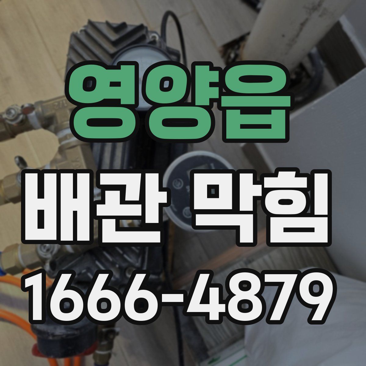 영양읍 배관 막힘