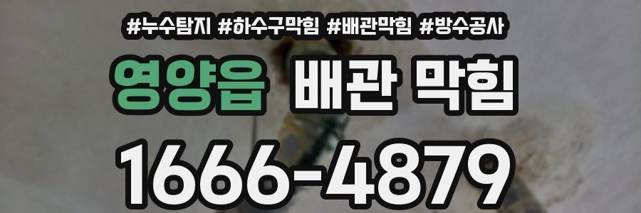 영양읍 배관 막힘