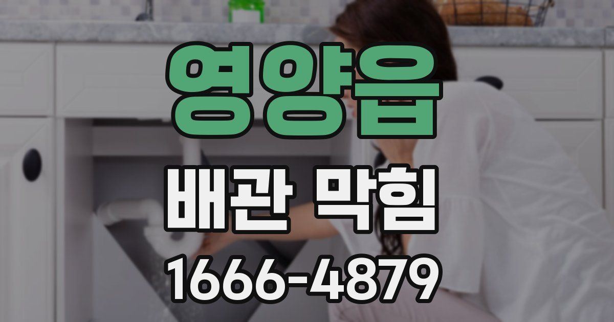 영양읍 배관 막힘