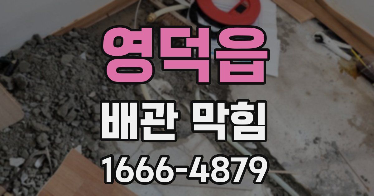 영덕읍 배관 막힘