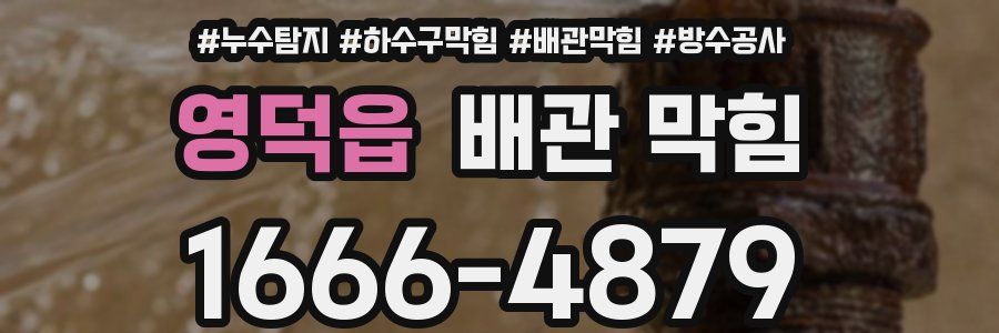 영덕읍 배관 막힘