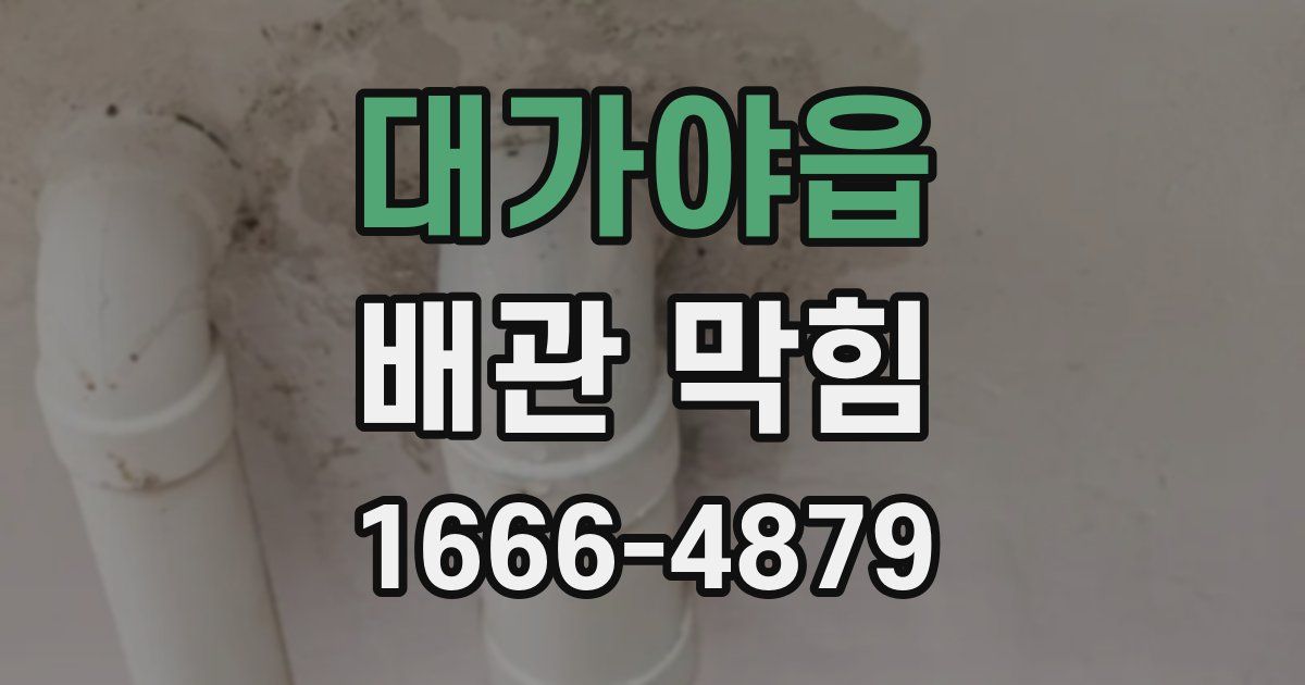 대가야읍 배관 막힘